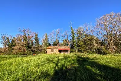 Edificabile Commerciale in vendita, Via Attilio Barriera, Fiumicino