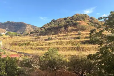 Agricolo in vendita, Via Provinciale per Armo-Gallina, Reggio di Calabria