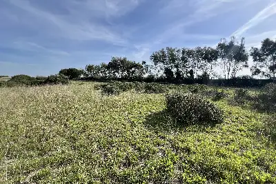 Edificabile Residenziali in vendita, Via Consorzio Focense, Fiumicino