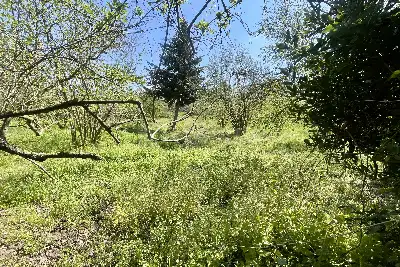 Villa in vendita, Via Madonna di Loreto, Soriano nel Cimino