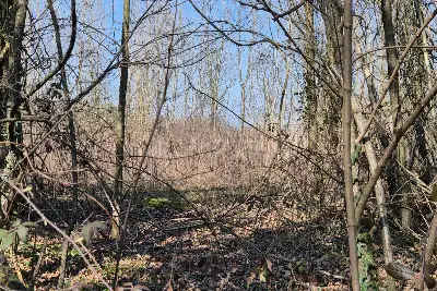 Agricolo in vendita, Via Sant'Agostino, Mariano Comense