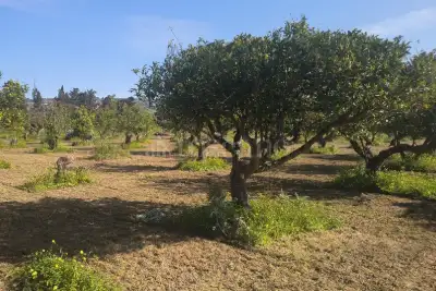 Agricolo in vendita, Via Emanuela, Erice