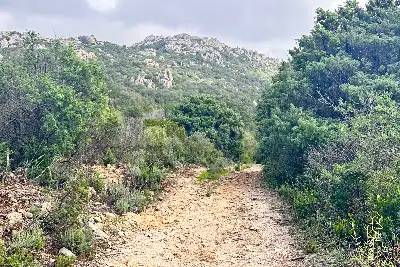 Agricolo in vendita, Loc. Caldosu, Sant'Antonio di Gallura