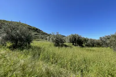 Rustico in vendita, Strada Provinciale 50, Messina