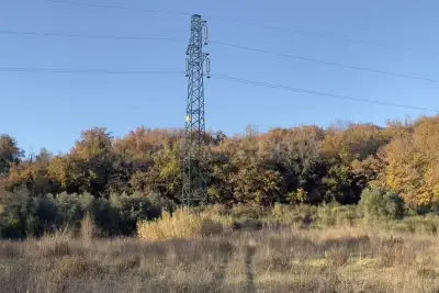 Edificabile Industriale in vendita, Orte Loc. Caldare, Orte