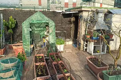 Casa in vendita, Via IV Novembre, Corsico