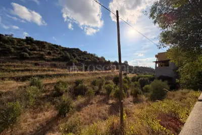 Agricolo in vendita, Via Provinciale per Armo-Gallina, Reggio di Calabria