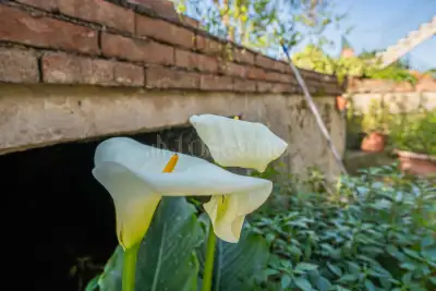 Villa in vendita, Via Roma, Tremestieri Etneo