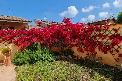 Casa in vendita, Viale di Castel Porziano, Roma