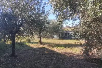 Agricolo in vendita, Vicolo della Patatona , Ciampino