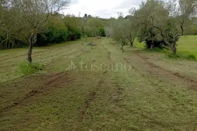 Agricolo in vendita, Strada Cassia Sud, Viterbo