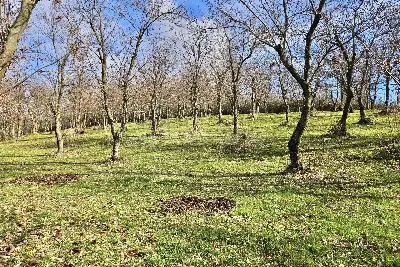 Agricolo in vendita, Contrada Tufarole, Contrada