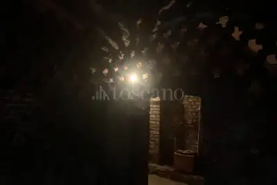 Cantina in affitto, Via Medardo Rosso, Milano