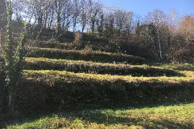 Agricolo in vendita, Via della Conciliazione, Como