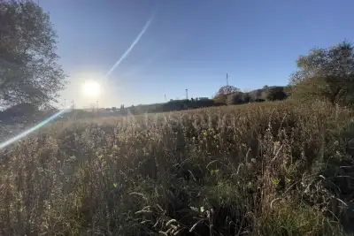 Edificabile Industriale in vendita, Orte Loc. Caldare, Orte