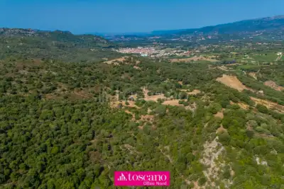 Agricolo in vendita, Monti, Monti