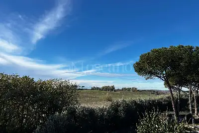 Casa in vendita, Via Giovanni Gregorio Mendel, Roma