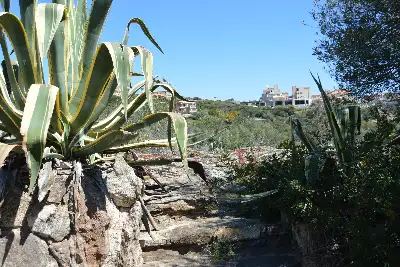Villa in vendita, Cala sassari, Golfo Aranci