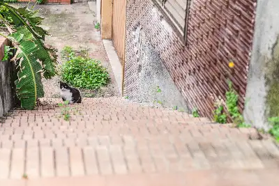 Villa in vendita, Via delle Querce, Gravina di Catania