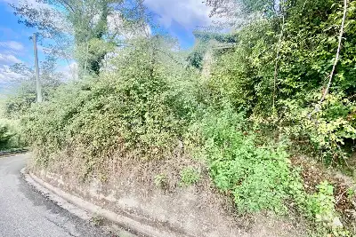 Agricolo in vendita, Via Gradoni Ortocurti, Grottolella, Grottolella