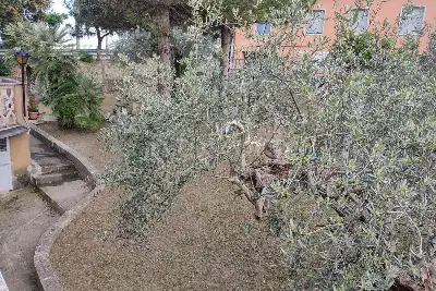 Casa Indipendente in vendita, Via G. Marconi, Elice