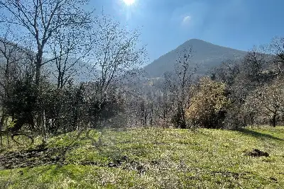 Rustico in vendita, Dizzasco, Loc. Pesee, Dizzasco