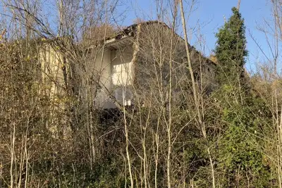 Edificabile Industriale in vendita, Orte Loc. Caldare, Orte