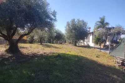 Agricolo in vendita, Vicolo della Patatona , Ciampino