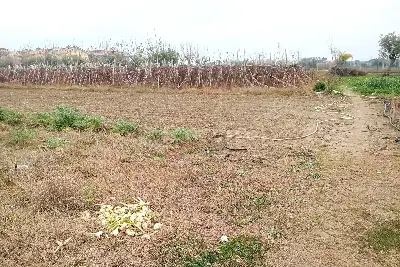 Agricolo in vendita, Via G. Donizetti, Martinsicuro