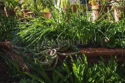 Villa in vendita, San Giovanni La Punta - Mongibello, San Giovanni la Punta