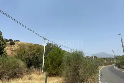 Agricolo in vendita, Via Mompilieri, Nicolosi