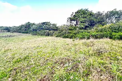 Agricolo in vendita, Loc. Caldosu, Sant'Antonio di Gallura