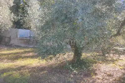 Agricolo in vendita, Vicolo della Patatona , Ciampino