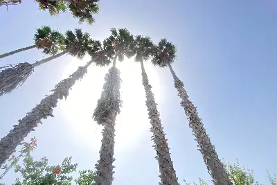 Villa in vendita, Via San Giovanni Bosco, Siracusa
