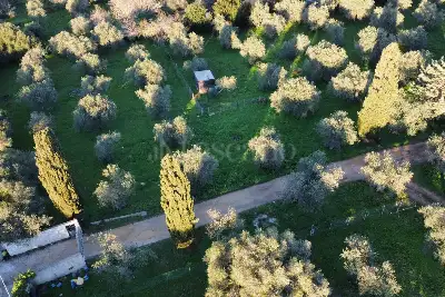 Casa Indipendente in vendita, Strada Vicinale Monte Fiocca Tronco B, Sassari