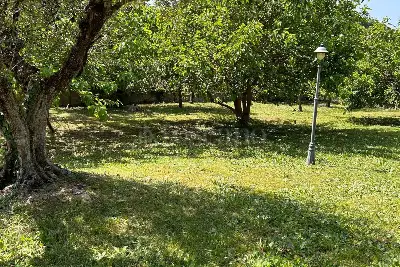 Villa in vendita, Via Olivella, Albano Laziale