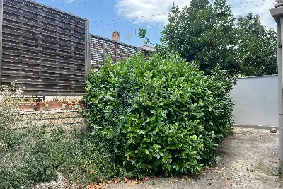 Casa in vendita, Via Giolito Dè Ferrari, Roma