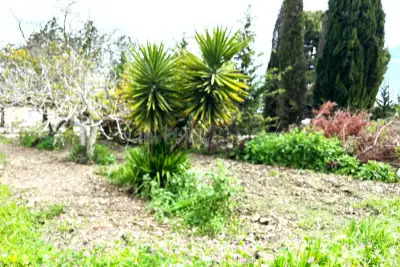 Villa in vendita, Cerignola, Cerignola