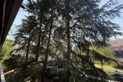 Casa in vendita, Via Tommaso Gulli, Milano