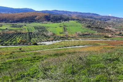 Agricolo in vendita, Località Caria Girifalco, Girifalco
