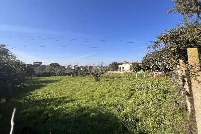 Agricolo in vendita, Casal del Marmo Ad.ze, Roma
