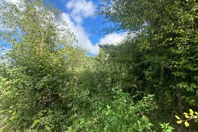 Agricolo in vendita, Via Gradoni Ortocurti, Grottolella, Grottolella