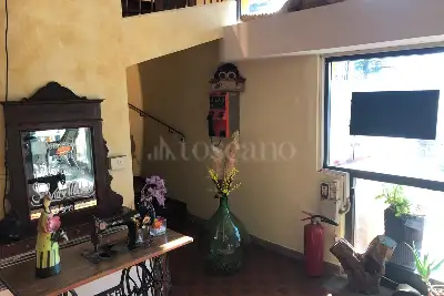 Attività Commerciale in affitto, Via Vecchia Bolognese, Pistoia