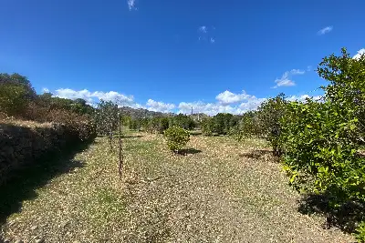 Agricolo in vendita, Via San Marco, Calatabiano