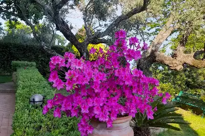 Villa in vendita, Torre Elena, Stalettì