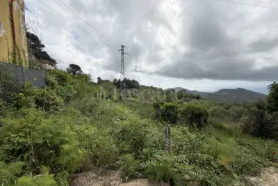 Agricolo in vendita, Via San Cosimo, Messina