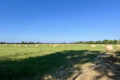 Agricolo in vendita, Viale delle Pagliete, Fiumicino
