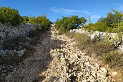 Agricolo in vendita, Noto, Noto
