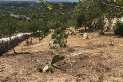 Agricolo in vendita, Strada Vicinale Logulentu Badde Tolta, Sassari