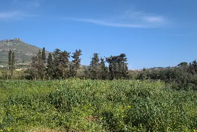 Agricolo in vendita, Via Emanuela, Erice